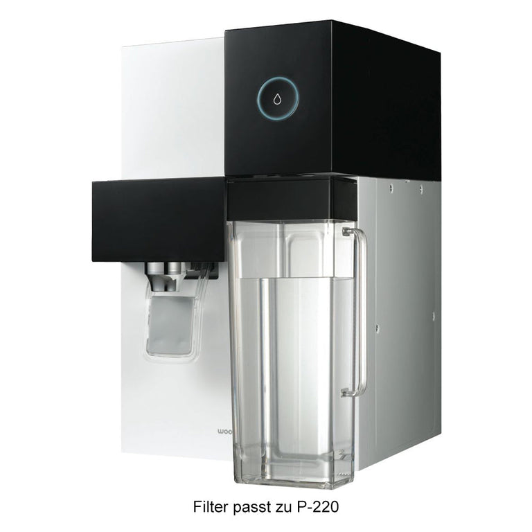 Coway Filterset für CHP-06DL, CHP-250L, CHP-6310L, P-07CL, P-220, P-08L, P-6320L